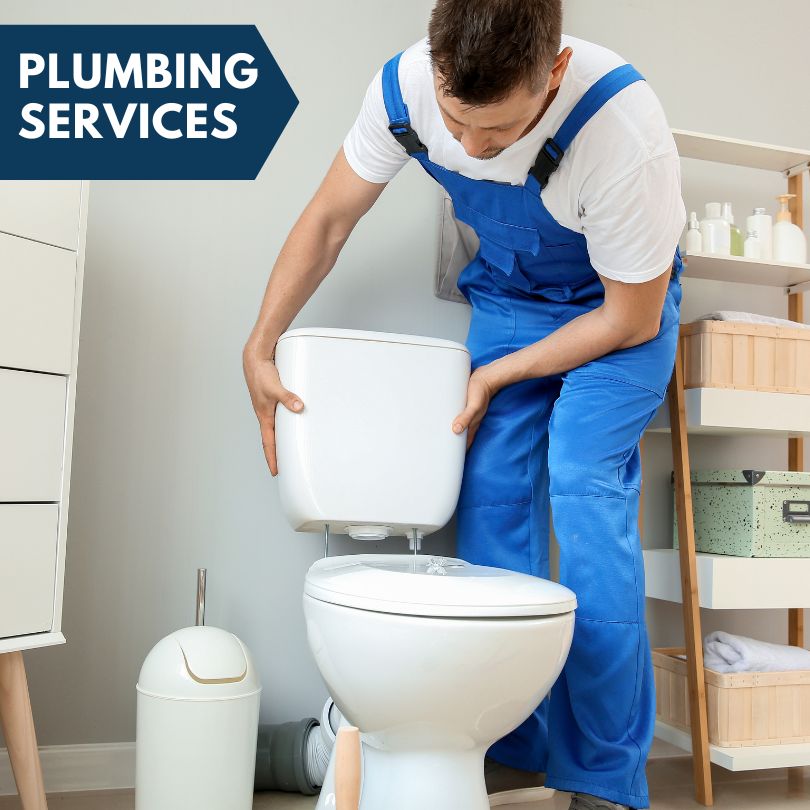 Plumbing Company in Minier, IL